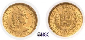1137-Pérou
 République (1821 à nos jours)
 1/2 libra or G.OZ.F - 1905 Lima.
 Exemplaire de la collection Eliasberg.
 Le plus exemplaire gradé.
 3...