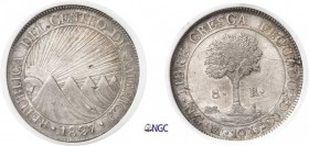 1174-République d'Amérique centrale (1823-1839)
 8 reales - 1827 NG M Guatemala City.
 Frappe médaille.
 Très rare dans cette qualité.
 Le plus be...