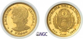 1188-République du Salvador (caféière - 1876-1931)
 Epreuve en bronze doré sur flan bruni du 5 pesos or
 1892 CAM San Salvador.
 Tranche striée - F...