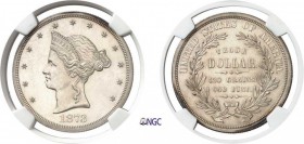 1345-USA
 République fédérale (1789 à nos jours)
 Epreuve sur flan bruni du 1 dollar - 1873 - Barber.
 Tranche striée.
 Rarissime.
 Exemplaire de...