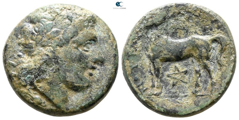 Bruttium. Nuceria circa 280 BC. 
Bronze Æ

19 mm., 8.24 g.



very fine