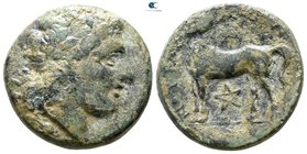 Bruttium. Nuceria circa 280 BC. Bronze Æ