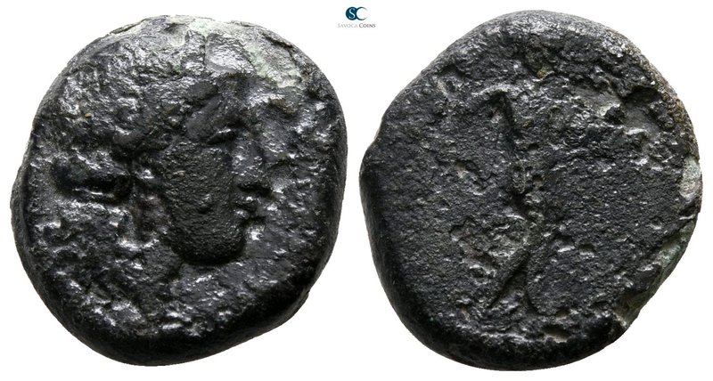 Sicily. Herbessos circa 350-325 BC. 
Bronze Æ

15 mm., 3.37 g.



nearly ...