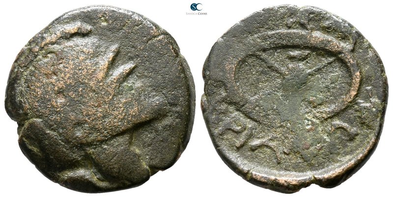 Thrace. Mesambria 300-250 BC. 
Bronze Æ

19 mm., 4.30 g.



very fine