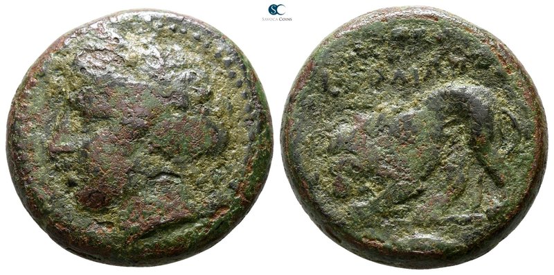 The Thracian Chersonese. Kardia 357-309 BC. 
Bronze Æ

20 mm., 8.25 g.


...