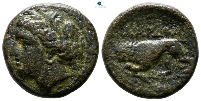 The Thracian Chersonese. Kardia 350-309 BC. 
Bronze Æ

17 mm., 6.43 g.


...