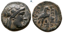 Seleukid Kingdom. Achaios 220-214 BC. Bronze Æ