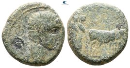 Macedon. Philippi. Augustus 27 BC-AD 14. Or Tiberius (AD 14-37). Bronze Æ