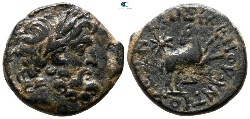 Seleucis and Pieria. Antioch. Pseudo-autonomous issue 27 BC-AD 14. 
Bronze Æ
...
