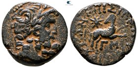 Seleucis and Pieria. Antioch. Pseudo-autonomous issue 27 BC-AD 14. Time of Augustus. Bronze Æ