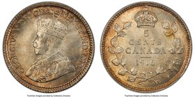 George V 5 Cents 1916 MS65 PCGS, Ottawa mint, KM22. Red-gold peripheral toning with lighter centers. 

HID09801242017