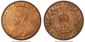 Newfoundland. George V Cent 1929 MS65 Red and Brown PCGS, Ottawa mint, KM16. 

HID09801242017
