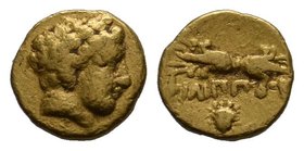 MACEDON, Kings of. Philip II. 359-336 BC. AV 1/12 Stater (0.70 gm). Pella mint. Circa 345-328 BC. Laureate head of Apollo right / Thunderbolt; facing ...