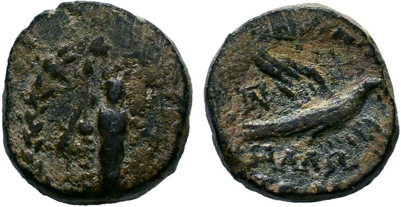 CILICIA. Mallos. AE. Obv: Facing statue of Athena Megarsis within wreath. Rev: M...