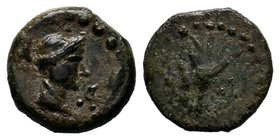 SELEUKID KINGDOM. Achaeus, 220-214 BC. AE of Sardes. Head of Apollo / Tripod. SC.958. Fine, brown patina. Scarce.
Diameter: 13mm
Weight: 1.54gr
Con...