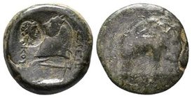 SELEUKID KINGDOM: Seleukos I Nikator, 312-280 BC, AE, Apamea, Spaer-50/52, elephant walking right // horse's head left, countermark bust and anchor be...