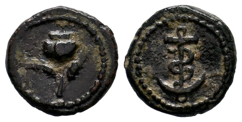PHRYGIA. Ankyra. Autonomous issues, 1st - 2nd century AD. . Poppy between two gr...