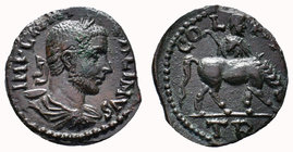 TROAS. Alexandria. Gallienus (253-268). Ae As.Obv: IMP LICIN GALLIENV. Laureate, draped and cuirassed bust right.Rev: COL A / TR.Horse grazing right; ...