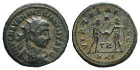 Numerian. As Caesar, A.D. 282-283. Æ antonininanus. Tripolis. IMP C M AVR NVMERIANVS NOB C, radiate, draped and cuirassed bust of Numerian right / VIR...