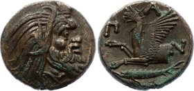 Ancient Greece - Pantikapaion AE 345 - 310 BC
6.01g 20mm; Obv: Head of bearded Satyr right.Rev: ΠAN, forepart of Griffin left, Sturgeon below