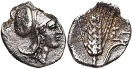 LUCANIE, METAPONTE, AR diobole, 325-275 av. J.-C. D/ T. casquée d''Athéna à d. R/ Epi avec feuille à d. Au-dessus, charrue. Johnston F8-1; SNG ANS -; ...