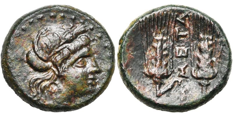 LUCANIE, METAPONTE, AE bronze, 3e s. av. J.-C. D/ T. de Déméter à d., cour. d''é...