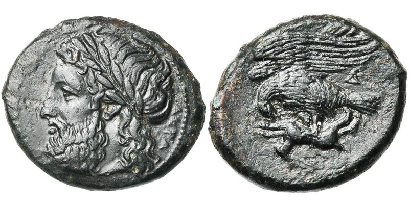 SICILE, AGRIGENTE, AE bronze, 338-287 av. J.-C. D/ AKPA[ΓA] T. l. de Zeus à g. R...
