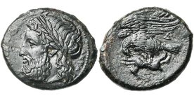 SICILE, AGRIGENTE, AE bronze, 338-287 av. J.-C. D/ AKPA[ΓA] T. l. de Zeus à g. R/ Aigle à g. ten. un lièvre dans ses serres. Sous les ailes, A. SNG AN...