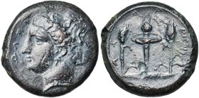 SICILE, ALAISA, Timoléon (344-336), AE bronze, 343-341 av. J.-C. D/ T. de Déméter à g. R/ Torche allumée entre deux épis de blé. SNG ANS -; Calciati 4...