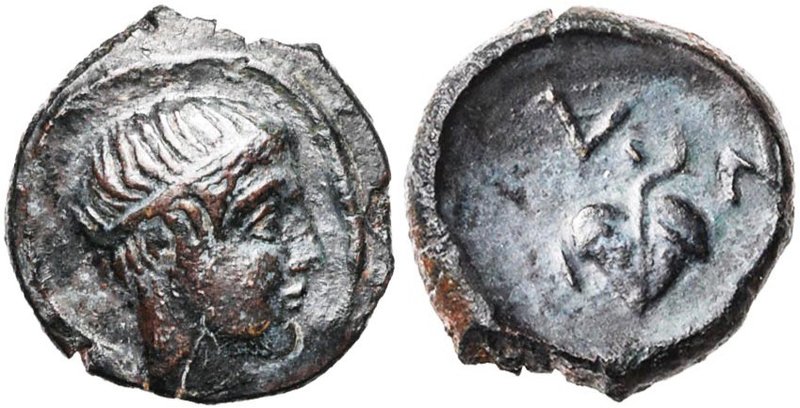 SICILE, NAXOS, AE onkia, vers 425-420 av. J.-C. D/ Jeune t. masculine à d. les c...