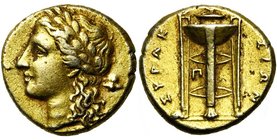 SICILE, SYRACUSE, Agathoclès (317-289), El 50 litres, vers 305-289 av. J.-C. D/ T. l. d''Apollon à g., les cheveux longs retombant sur la nuque. Dans ...