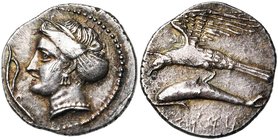 PAPHLAGONIE, SINOPE, AR drachme, 340-330 av. J.-C. D/ T. de la nymphe Sinope à g., portant boucle d''oreille et collier. Devant, aphlaston. R/ Aigle s...