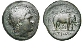 ROYAUME SELEUCIDE, Antiochos III (223-187), AE bronze, vers 210 av. J.-C. D/ T. diad. à d. R/ ΒΑΣΙΛΕΩΣ/ ANTIOXOY Eléphant à d. En dessous, . A g., an...