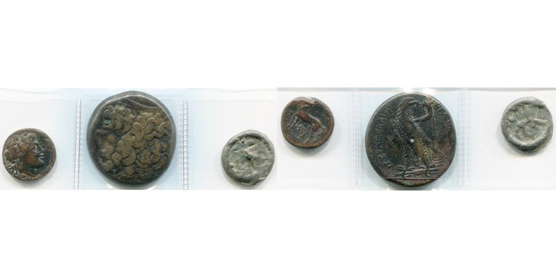 lot de 3 p.: Bruttium, Nuceria, bronze, T. d''Apollon/Cheval; Ptolémée IV, AE35,...