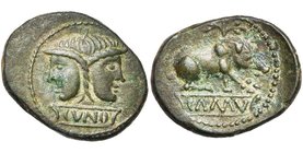 ILE DE BRETAGNE, Trinovantes/Catuvellauni, Cunobeline (10-43), AE unité en bronze. D/ T. janiforme posée sur une tablette inscrite CVNO. R/ Truie à d....