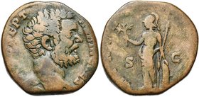 CLODIUS ALBINUS César (195-197), AE sesterce, 194-195, Rome. D/ D CLOD SEPT- ALBIN CAES T. nue à d. R/ MINER PACIF COS II/ S-C Minerve deb. à g., ten....