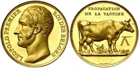 BELGIQUE, AV médaille, s.d. (1834), Braemt. Propagation de la vaccine. D/ T. nue de Léopold Ier à g. R/ Vache laitière deb. à d. Dans le champ, une la...