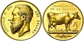 BELGIQUE, AV médaille, s.d. (1866), L. Wiener. Propagation de la vaccine. D/ T. barbue de Léopold II à g. R/ Vache laitière deb. à d. Dans le champ, u...