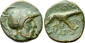 AKARNANIA. Argos Amphilochikon. Ae (Circa 330-300).
