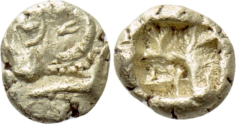 IONIA. Uncertain. EL 1/24 Stater (Circa 600-550 BC). 

Obv: Head of ram left....