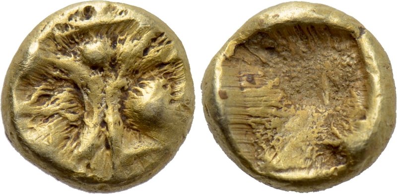 IONIA. Uncertain. EL 1/48 Stater (Circa 600-550 BC). 

Obv: Schematic head of ...