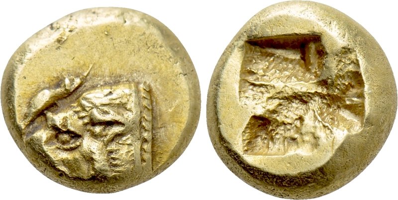 IONIA. Phokaia. EL Hekte (Circa 625/0-522 BC). 

Obv: Head of lion left; above...