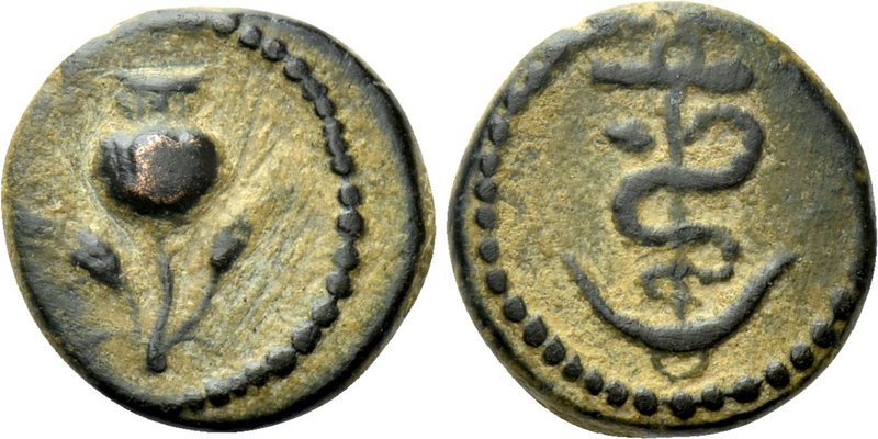 PHRYGIA. Ancyra. Pseudo-autonomous (1st-2nd centuries). Ae. 

Obv: Poppy betwe...