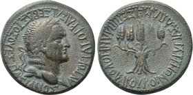 PHRYGIA. Apameia. Vespasian (69-79). Ae. Plancius Verus, magistrate.