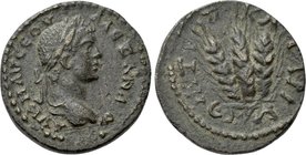 CAPPADOCIA. Caesarea. Severus Alexander (222-235) Ae.