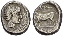 GREECE. Campania. 
 Neapolis. Didrachm. Obv. ΝΕΑΠΟΛΙ retrograde. Diademed female head right. Rev. Man-headed bull left, ears of wheat above. Sear -; ...