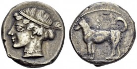 GREECE. Sicily. 
 Segesta. Didrachm 480-461. Obv. Diademed head of nymph Segesta left. Rev. Hound standing left. Sear 897 var .; B.M.C. -. AR. 8.40 g...