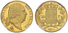 FRANCE. 
 Louis XVIII, 1814-1824. 20 Francs 1819 A, Paris. Gad. 1028; F. 519. AU. 6.44 g.
 NGC MS 63
