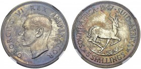 SOUTH AFRICA. 
 George VI, 1936-1952. 5 Shilling 1947. KM 31. AR. 28.28 g.
 NGC PF 66