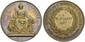 Genève / Genf. 
 Médaille gravée par Antoine Bovy. Médaille en argent 1887. Bureau central météorologique. Attribué à Mr Jullian. Poinçon Corne ARGEN...